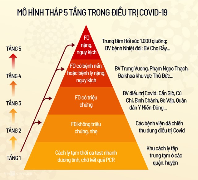 ベトナムのコロナF0を更に細分化したグラフ